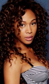 herec Nicole Beharie